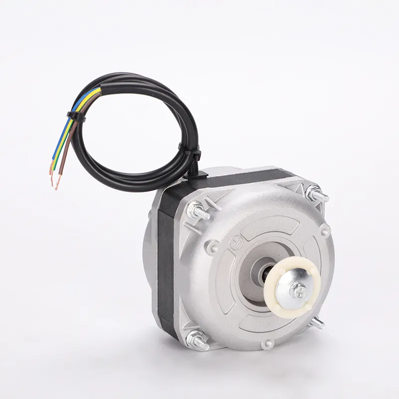 Condenser Fan Motor View 1
