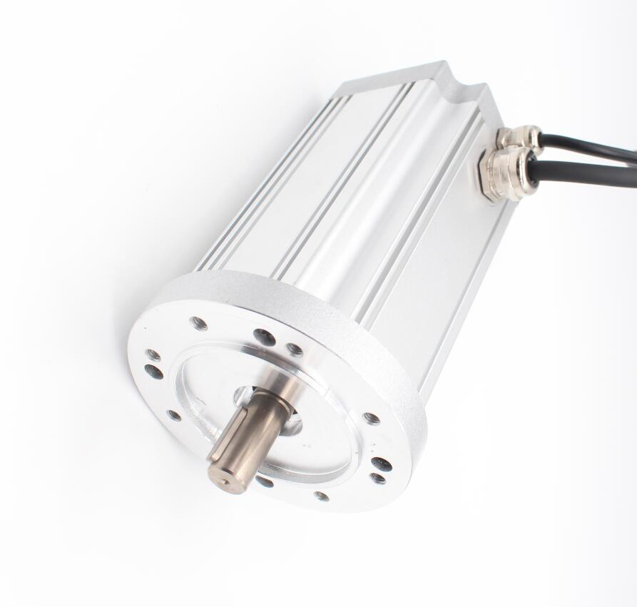 12V Motor High Precision Long Lifespan DC Brushless Servo Motor with Hall Sensor Brake
