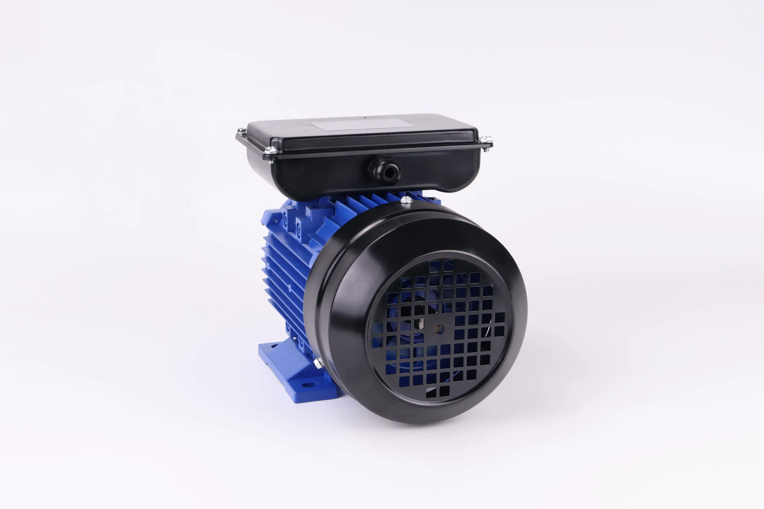 Two Capacitors Single Phase AC Induction Electric Motor