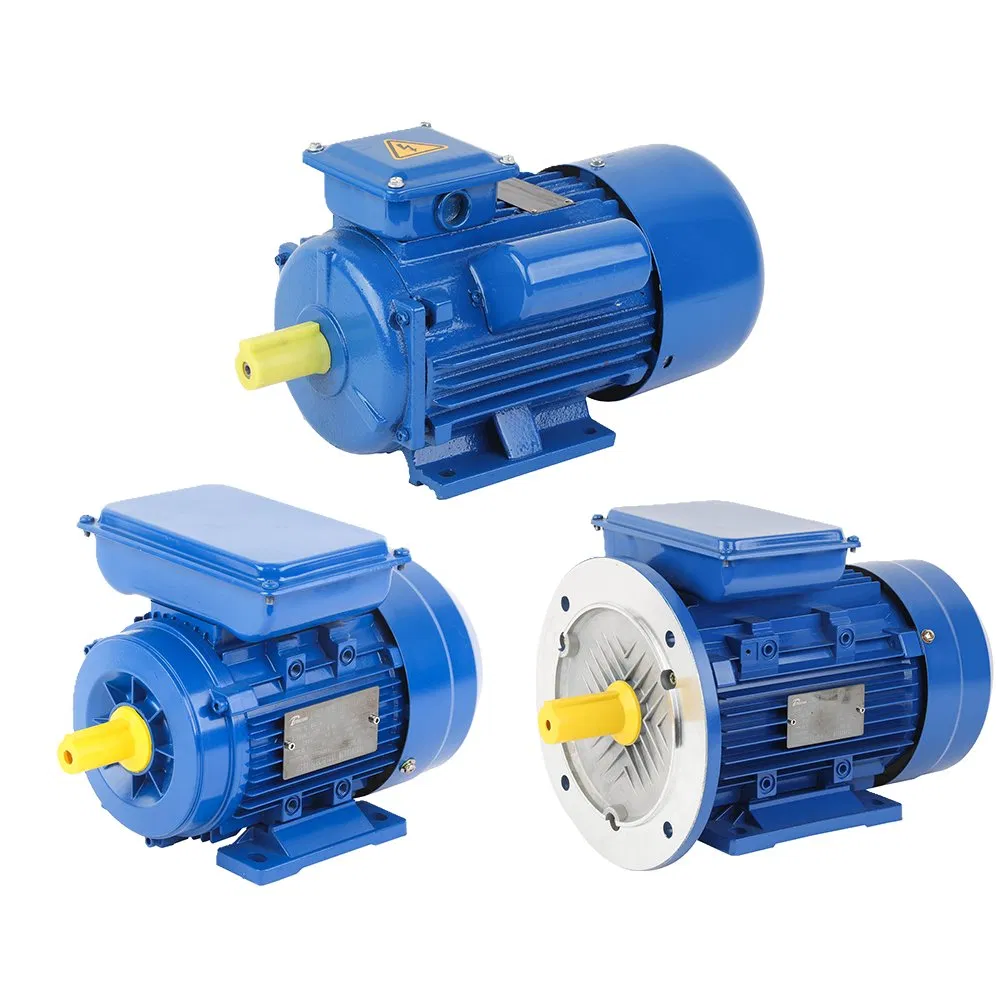 Ylycl 0.75/1/1.5/2/3/4/5.5/7/10HP 2800/1400rmp Electrical Big Castiron/Aluminum Induction Single Phase Monophase AC Motor