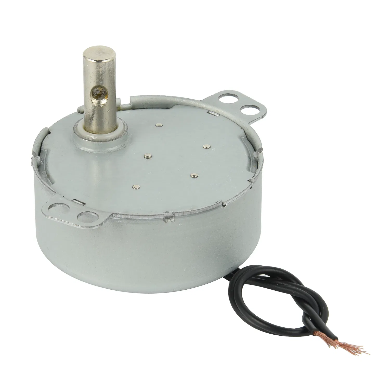High Torque 49tyj AC 110V 220V Synchronous Motor for Electric Fan, BBQ Grill, Fireplace and Heater