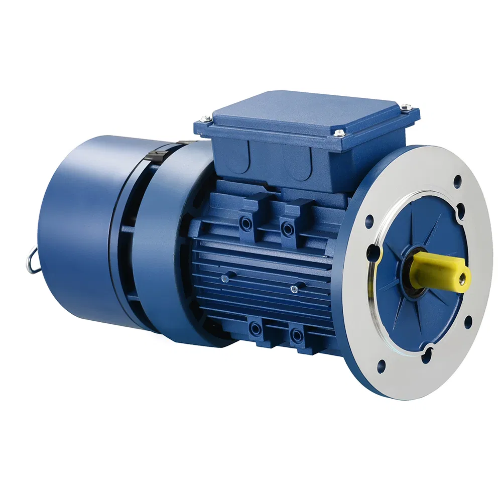 Variable Frequency Vf Adjustable-Speed Speed Regulation Three Phase Brake AC Electric/Electrical Motors