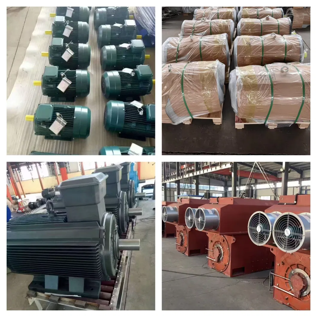 Industrial Explosion-Proof Electrical Motor