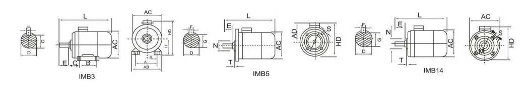 Motor Details Banner