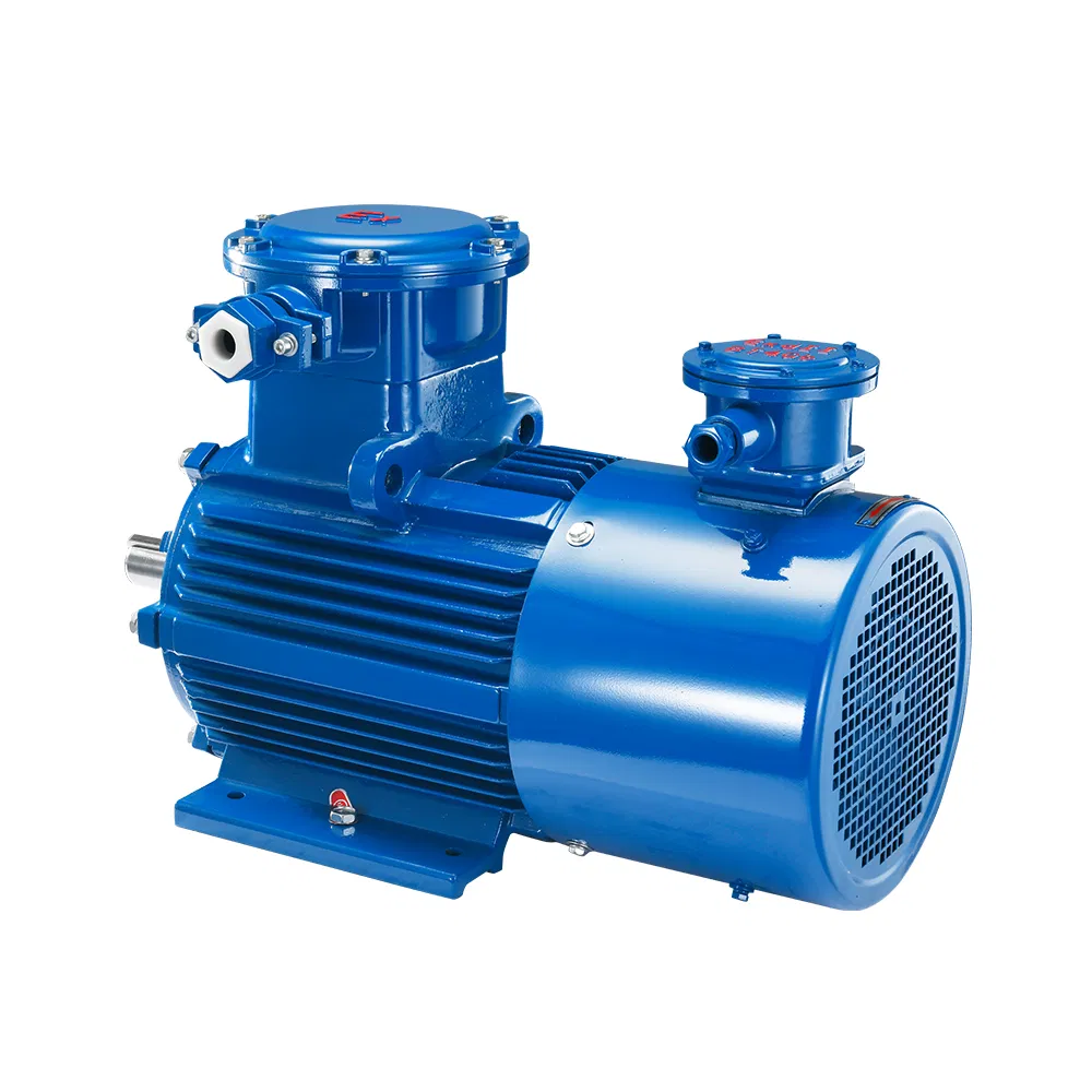 Explosion Proof Motor Detail 2
