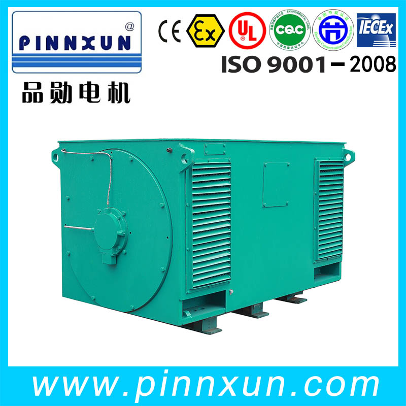 Asynchronous Three Phase Electric High Voltage Motor for Cement Plant