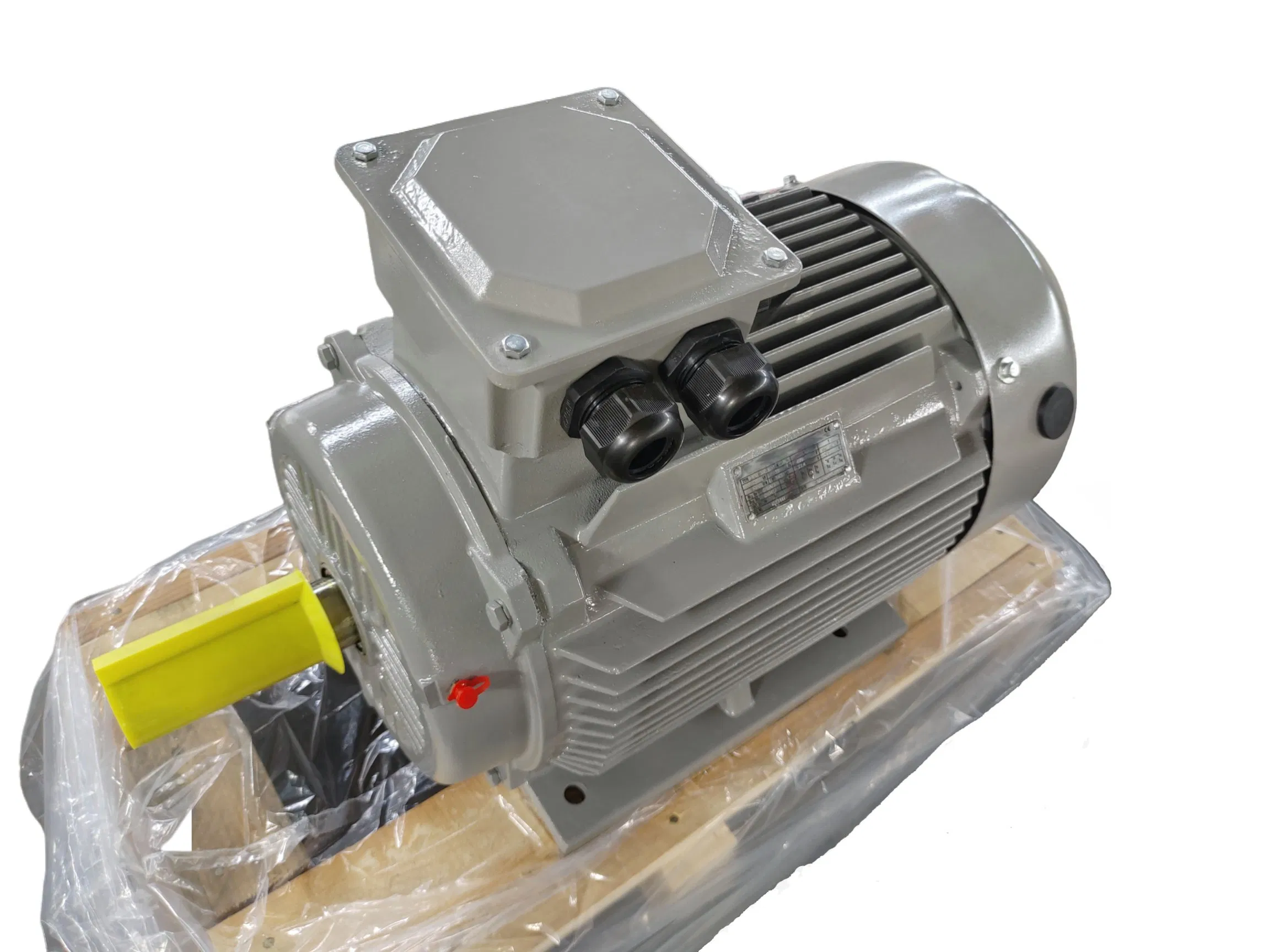 Ye3 200L-4, 30kw, 4poles, High Efficiency AC Electric Motor