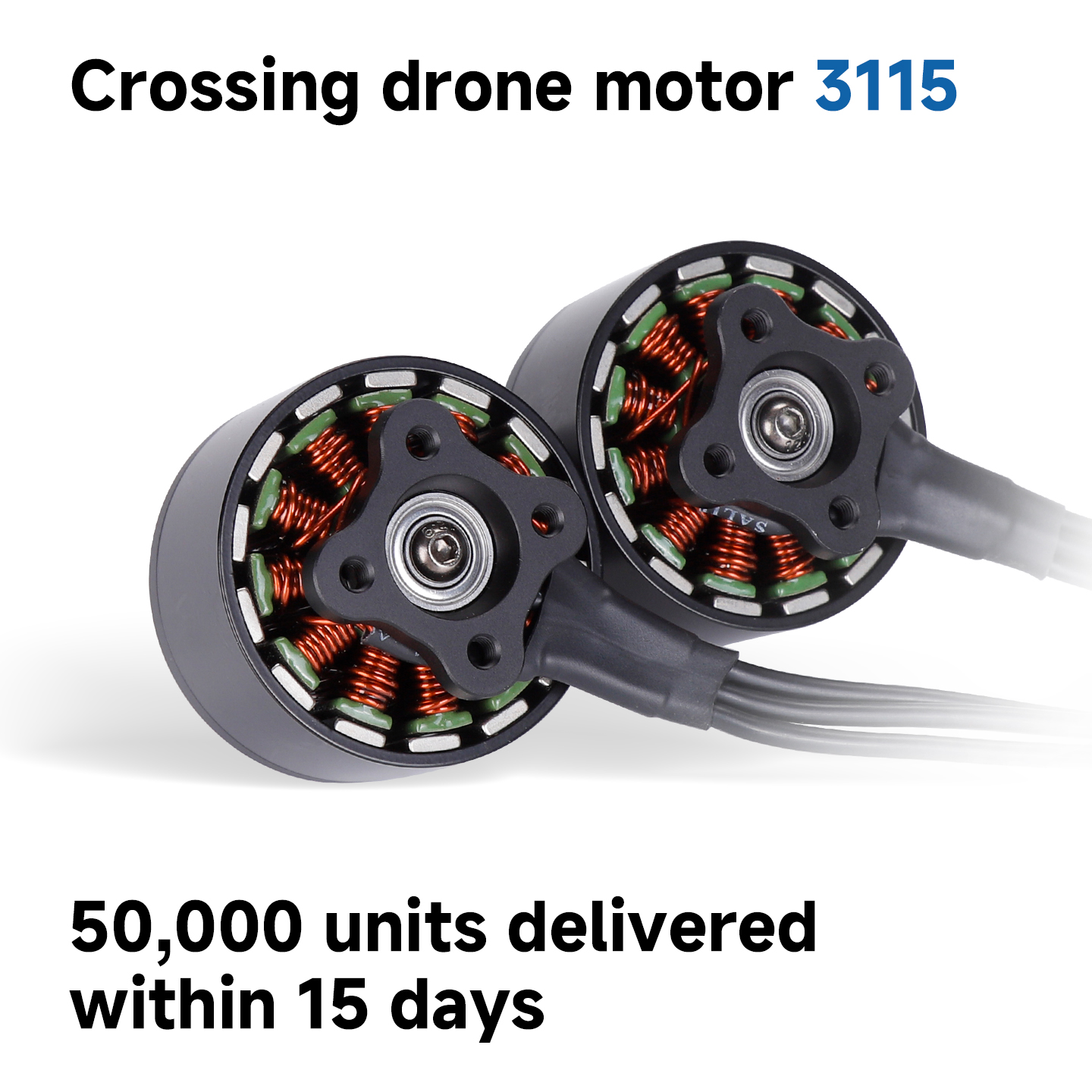 3115 Industrial Brushless Motor Customizable Parameters for Automation Equipment