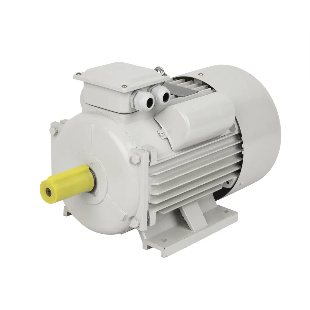 Electric Motor Display 1