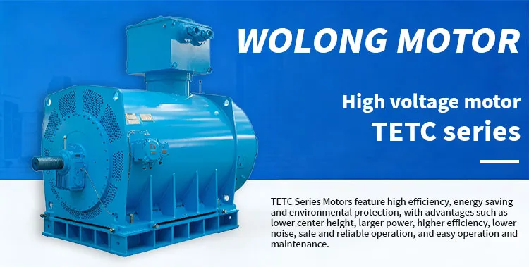 Variable Speed Compatible Tetc High Voltage Motor
