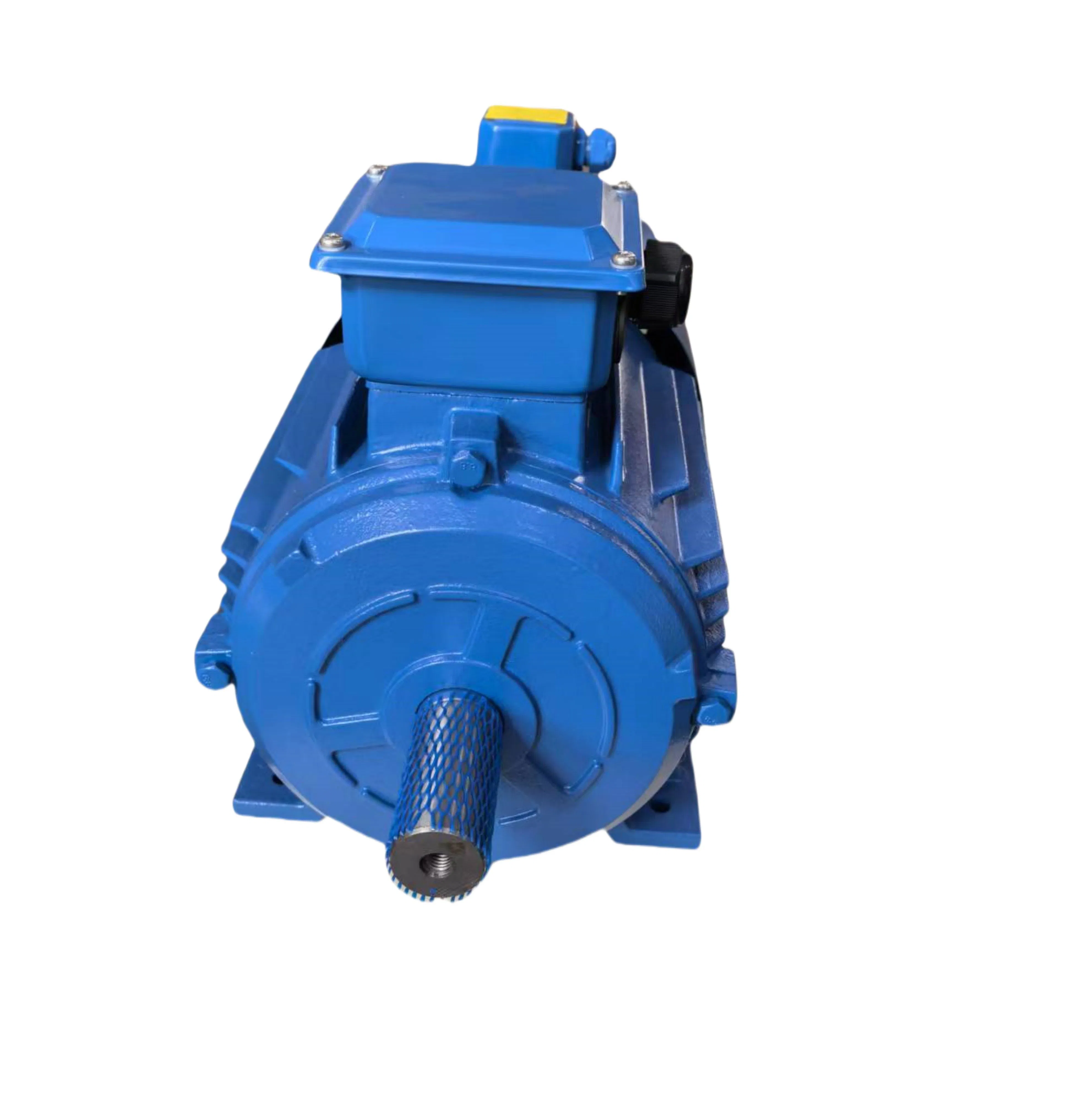 Variable Frequency AC Electric Motor for Speed Control High-Efficiency 18.5kw 4p YVF-180M-4