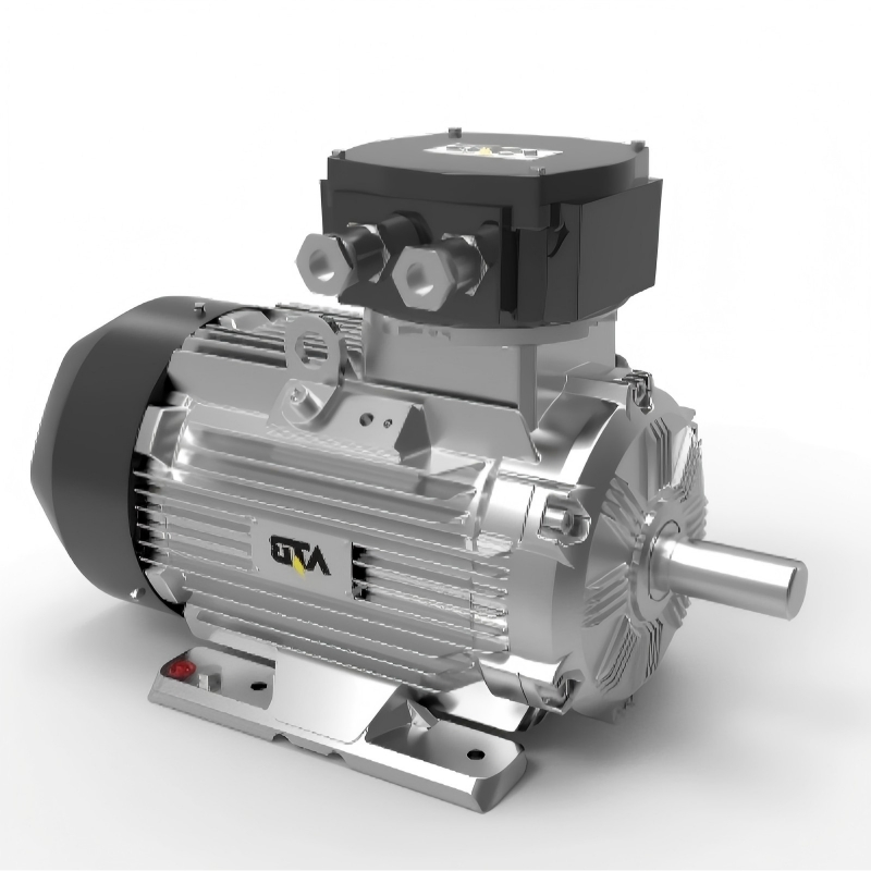 Permanent Magnet Synchronous Motor, Wepm Series Variable Speed Drive Motor for Machinery