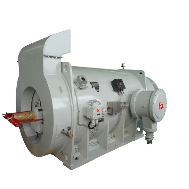 Ybbpx Series High Voltage Explosion Proof Three Phase Motor for Mining