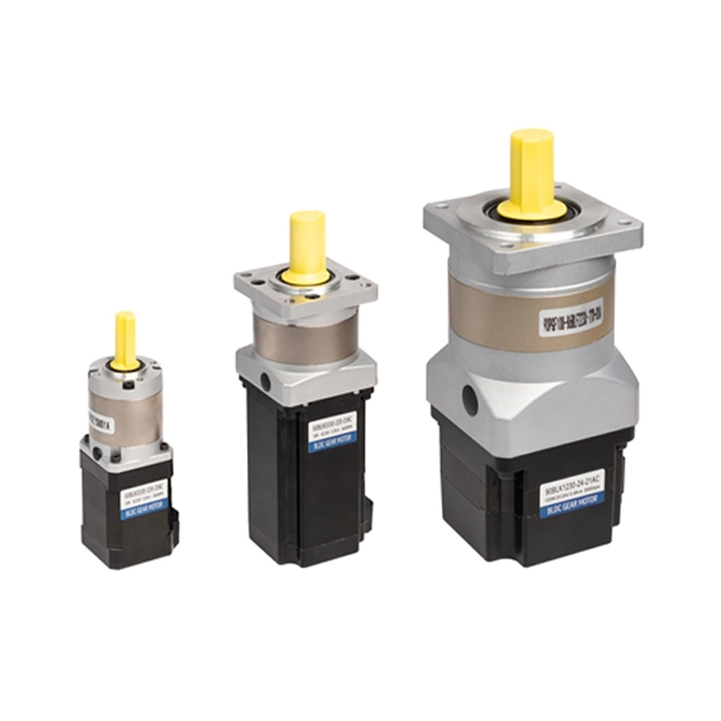 24V/48V/220V Energy Saving Space Saving 30W-1500W Brushless Planetary Gear Motor for Mixer