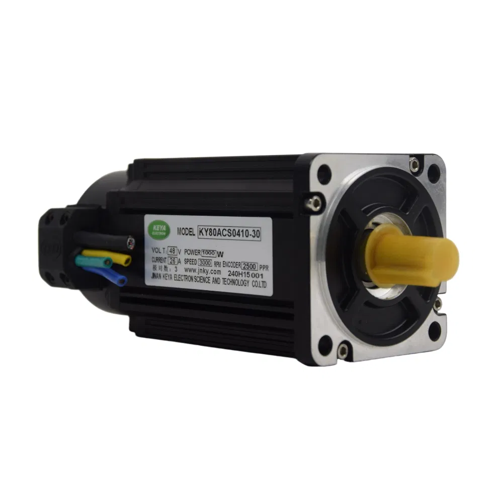 Keya DC 12V-96V 50W-15kw DC Servo Motor Pmsm Motor Support Customization