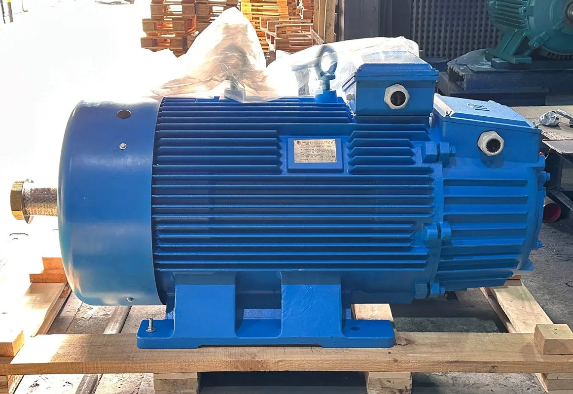 Heavy Duty High Voltage Electric Motor with Explosion Proof Design