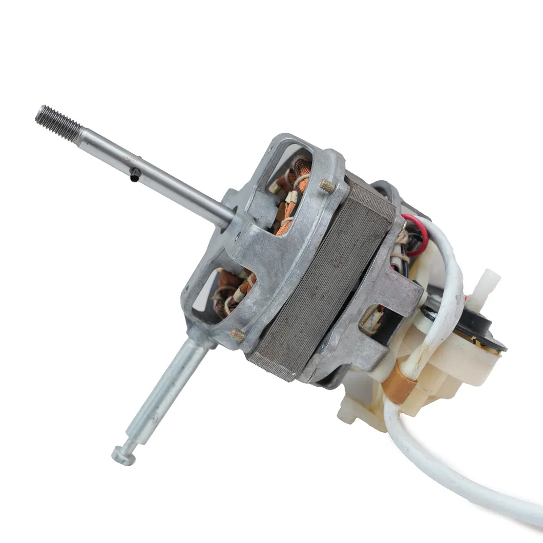 Fan Motor 5
