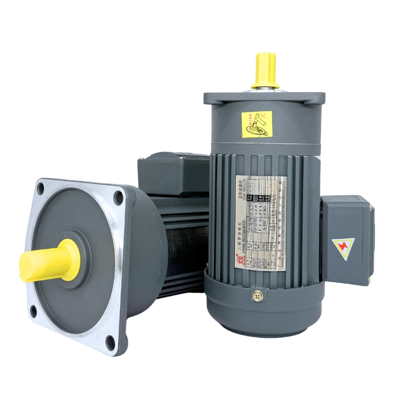 Risc Medium Gear Reduction Motor Ghh Asynchronous Motor with Brake and Reducer