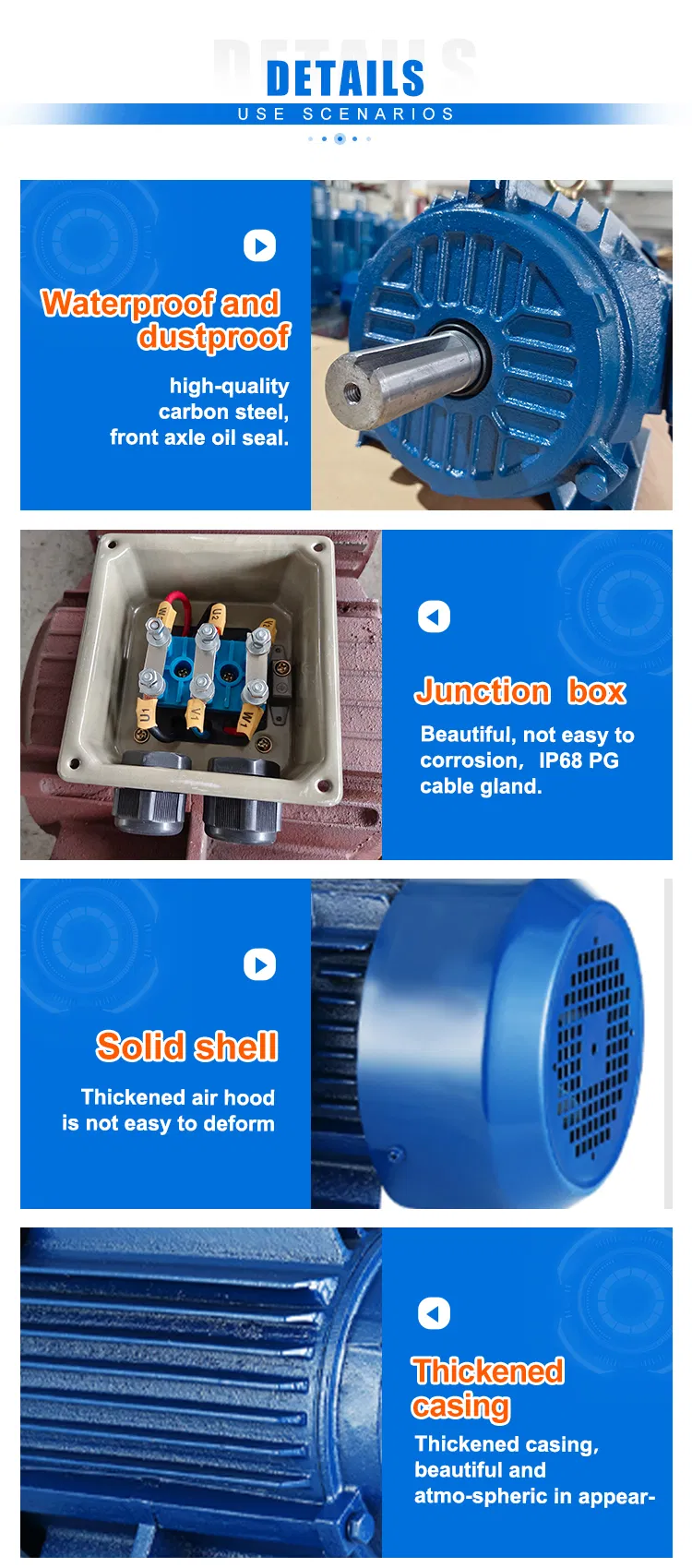 Motor Detail 2