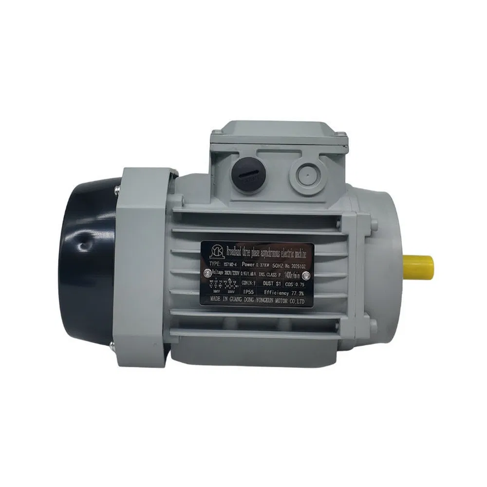Environmentally Friendly Aluminum Material Gear Motor Permanent Magnet Synchronous Motor