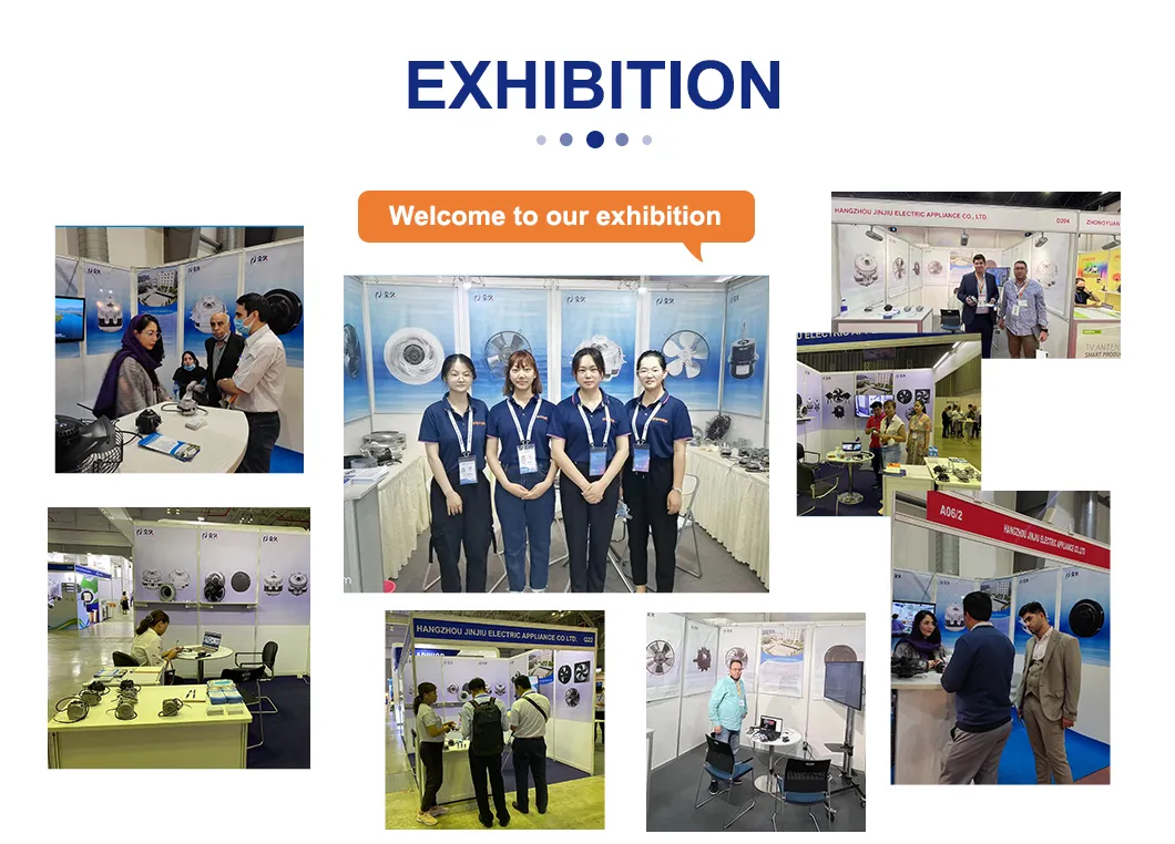 Exhibition
