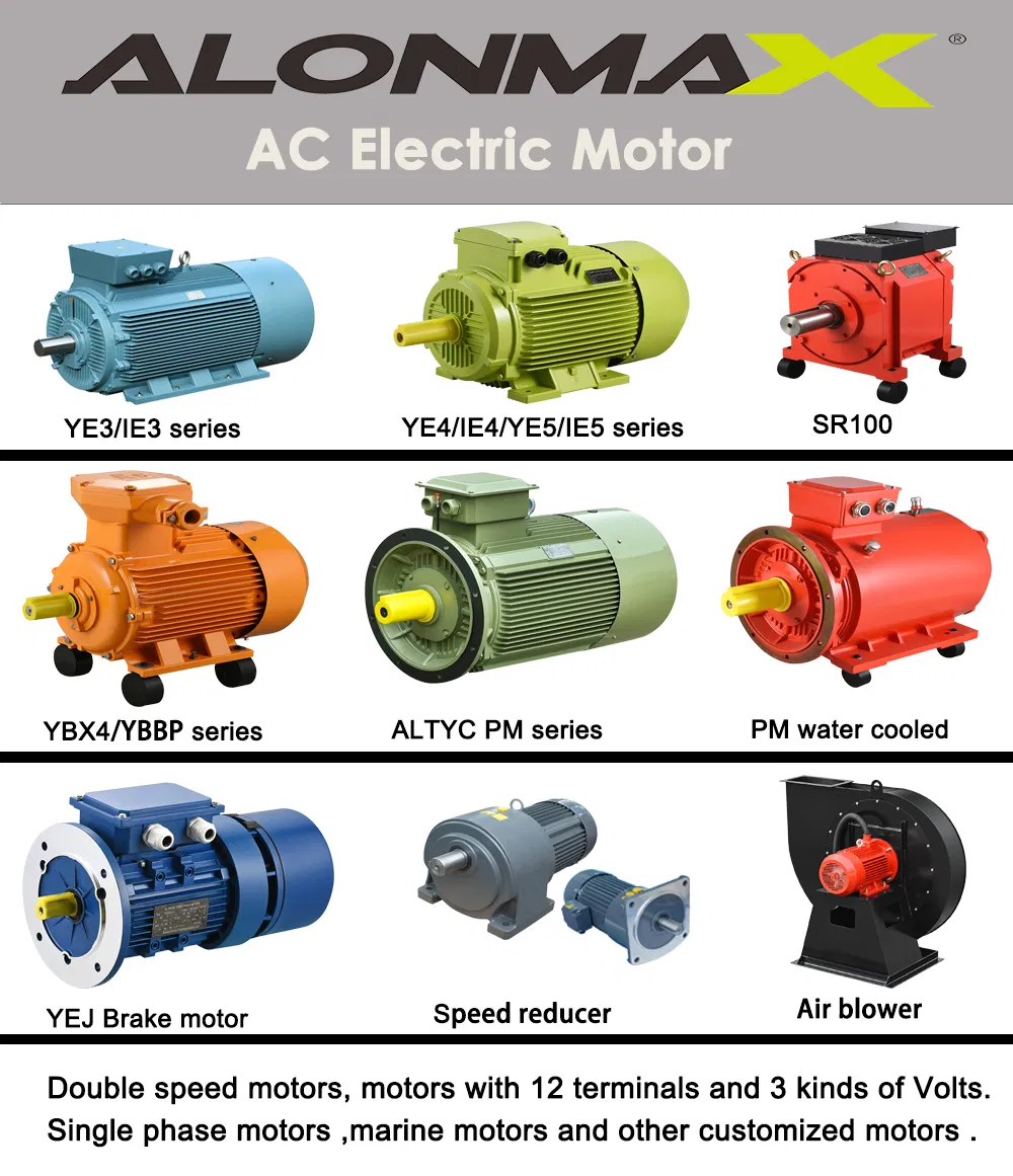 Explosion Proof Motor