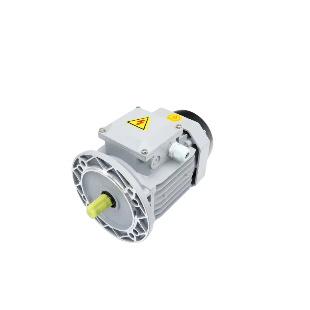 Motor Detail 1