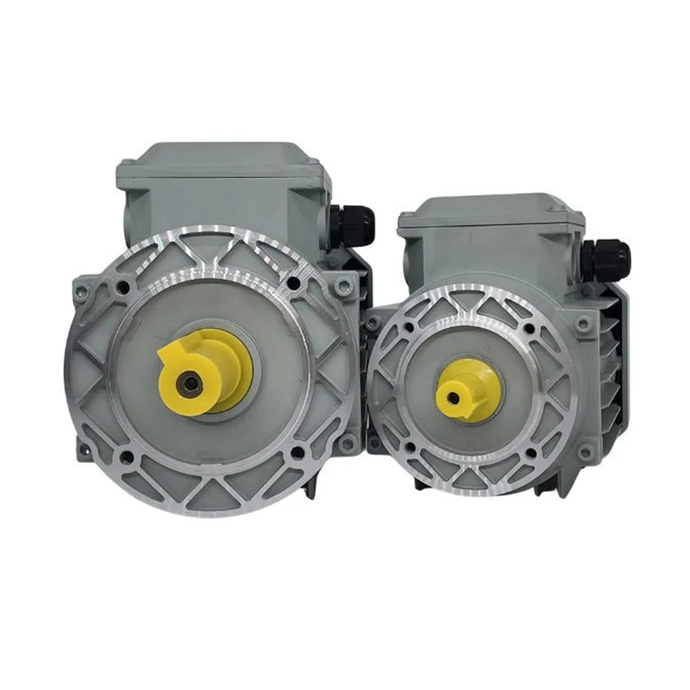 Easy Installation Single/3 Phase AC Electric Gear Motor for Food Processing