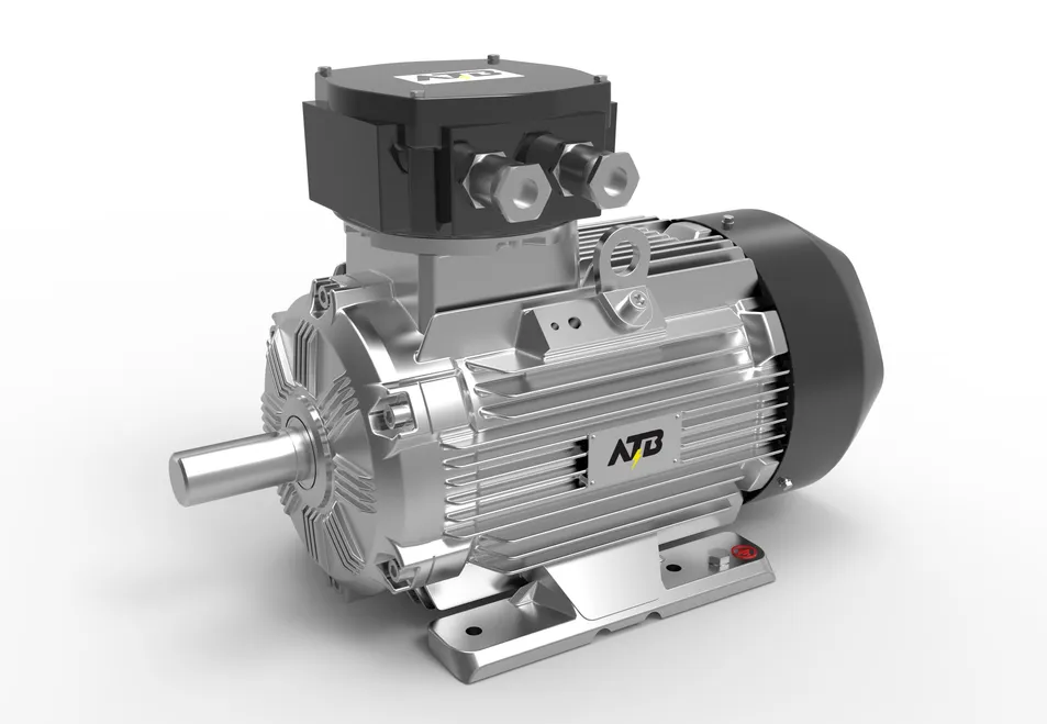 Permanent Magnet Synchronous Motor, Wepm Series
