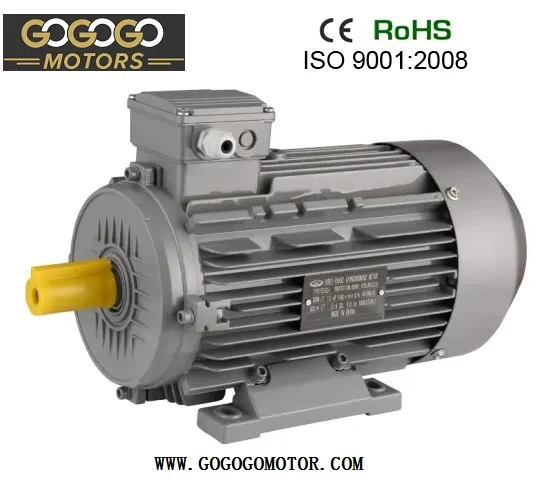 Electric Motor View 2