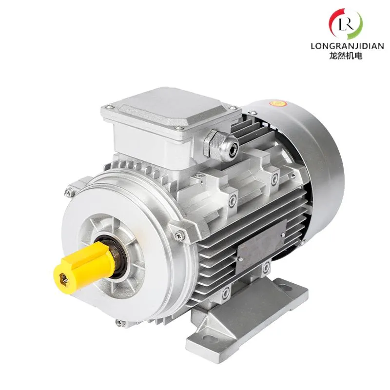 Electric Motor