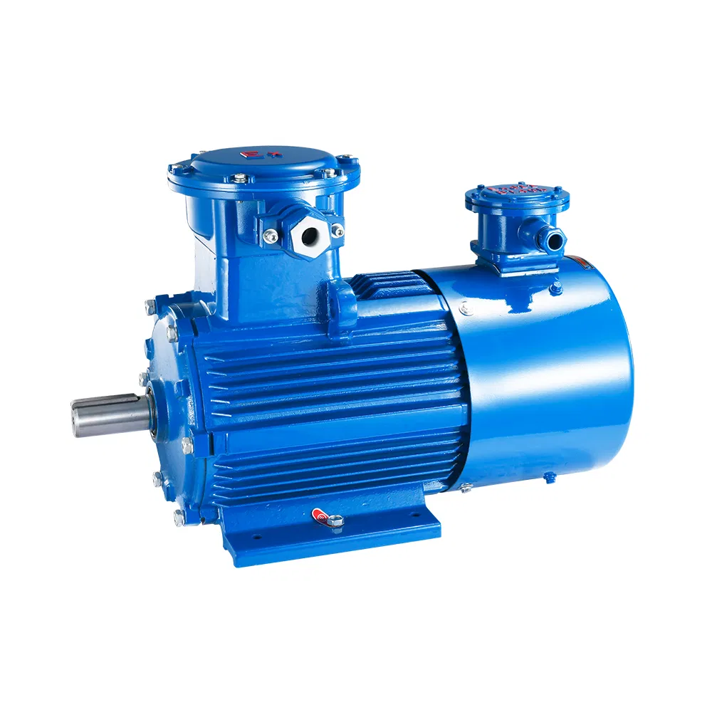 Explosion Proof Motor Detail 1
