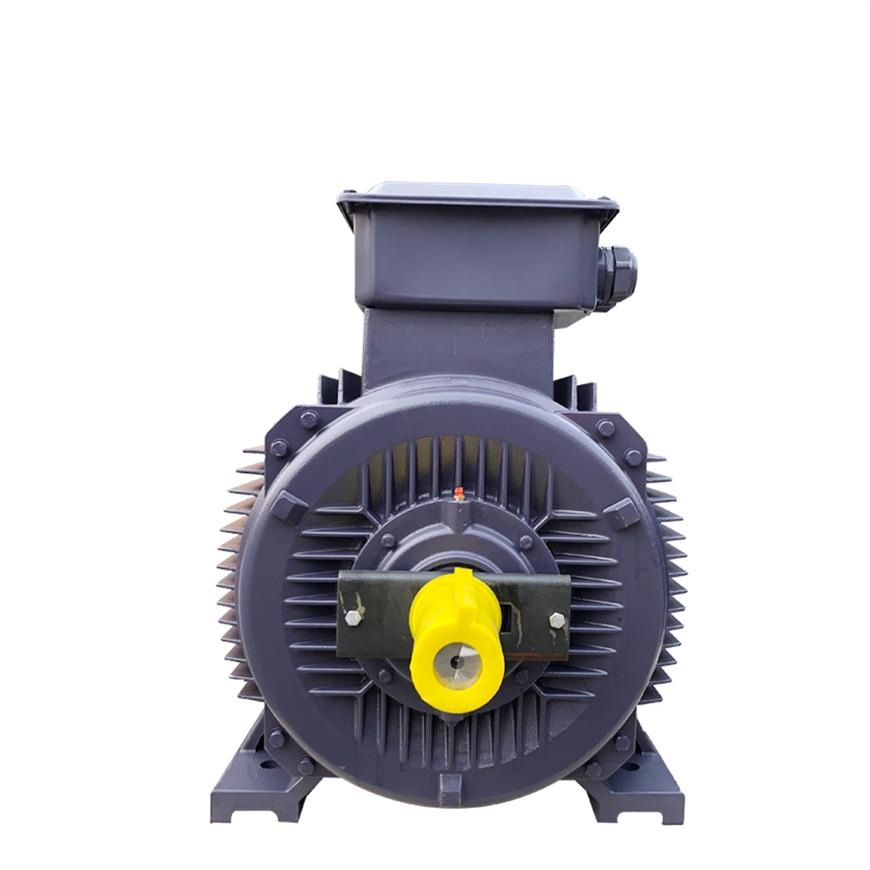 3~100Hz Frequency Variable Speed Three-Phase Asynchronous Motor VFD Motor 0.75~22kw