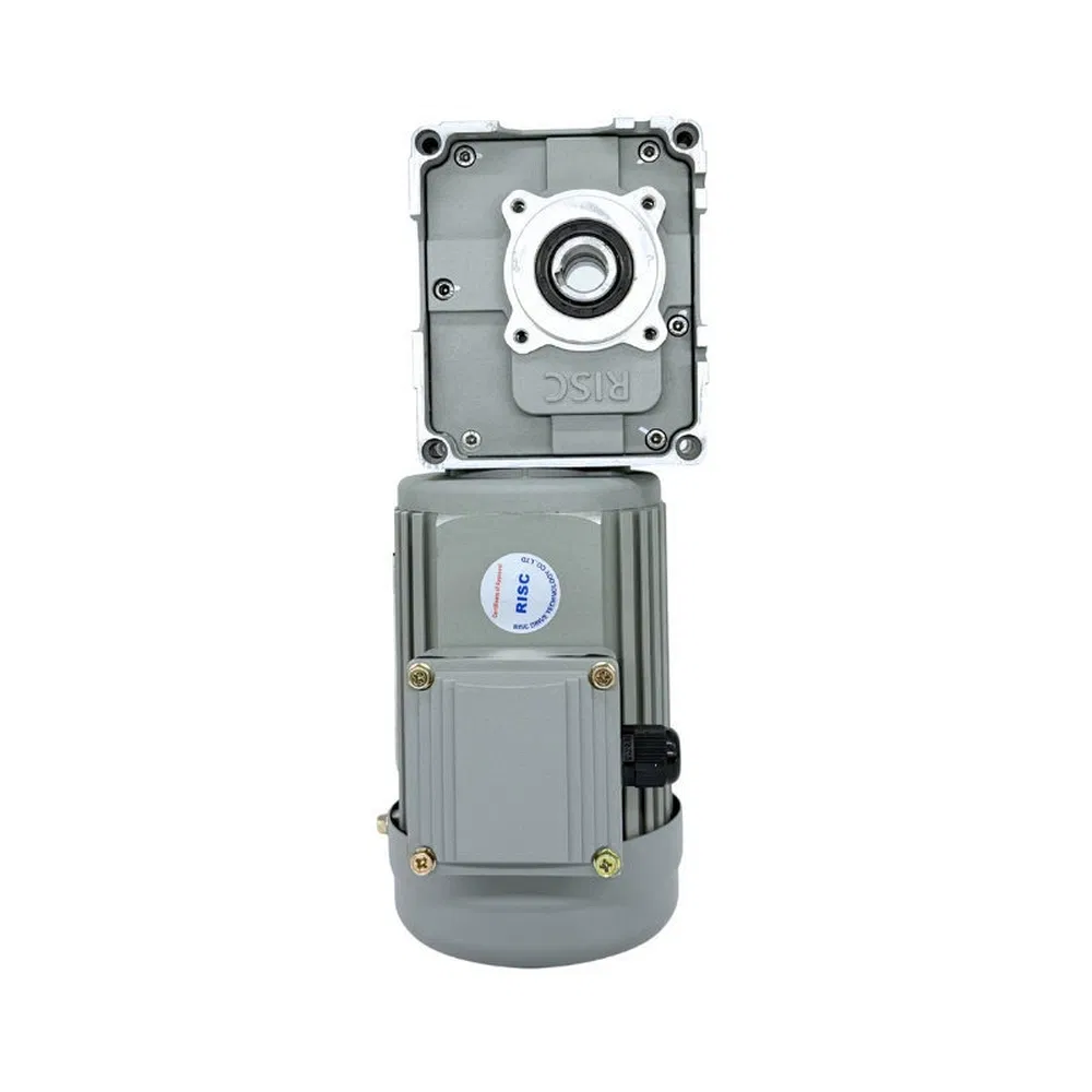 Low Vibration RF40 Worm Gear AC Asynchronous Motor for Automated Warehousing Conveying