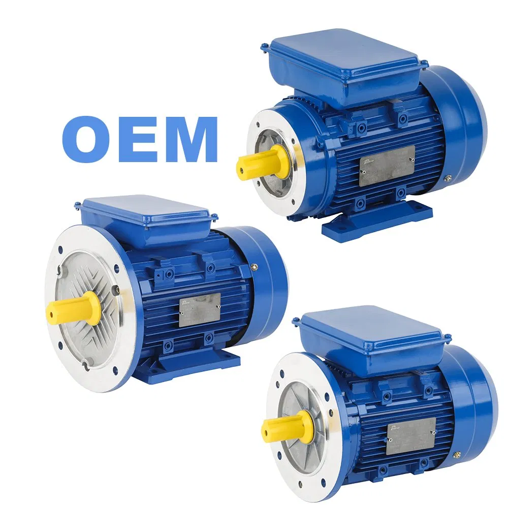 1HP, 2HP, 3HP, 4HP, 5.5HP, 7.5HP, 10HP, 15HP, 20HP, 25HP, 30HP, 40HP, 50HP, 60HP, 75HP, 100HP Three Phase Induction AC Asynchronous Electric Motor