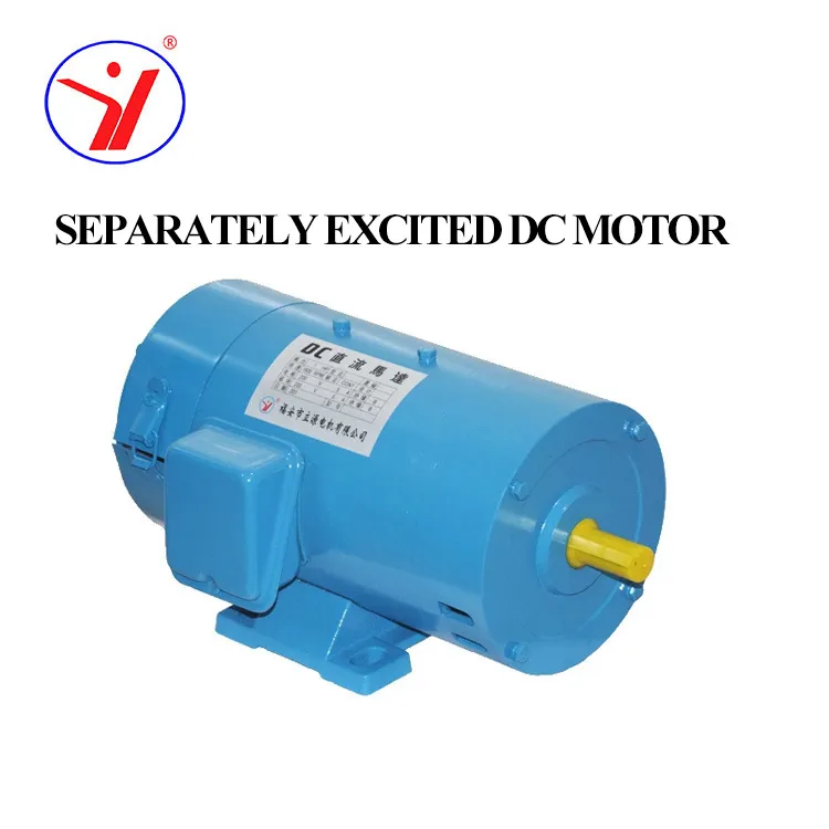 DC Electric Motor