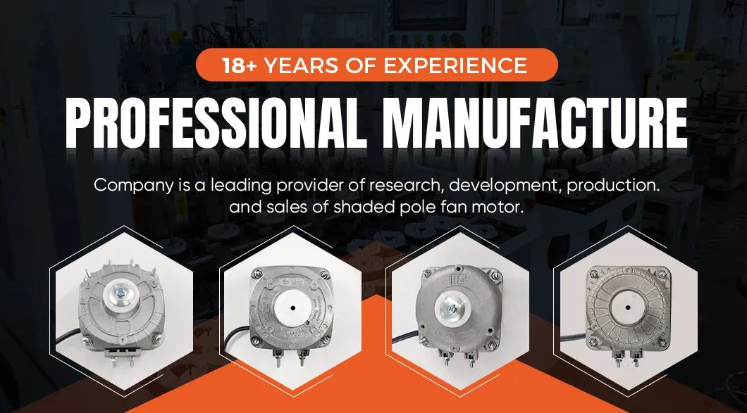 Fan Motor Overview
