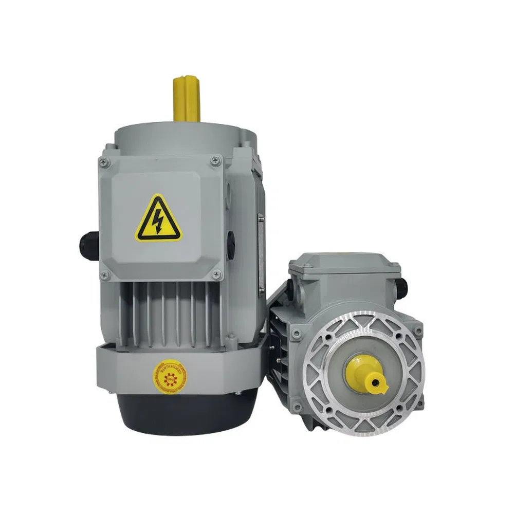 Easy Installation Single/3 Phase AC Electric Gear Motor for Food Processing