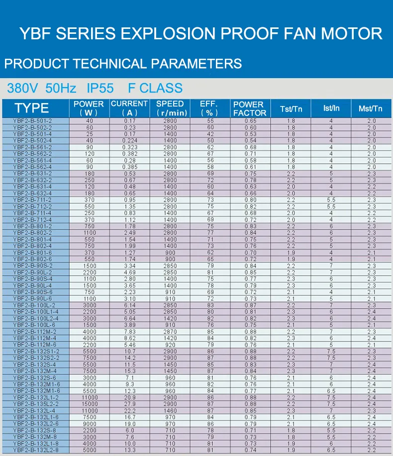 Explosion Proof AC Motor