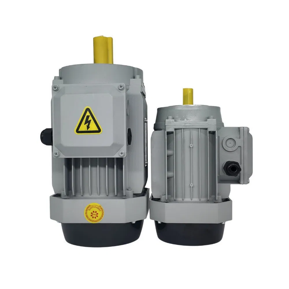 Easy Installation Single/3 Phase AC Electric Gear Motor for Food Processing