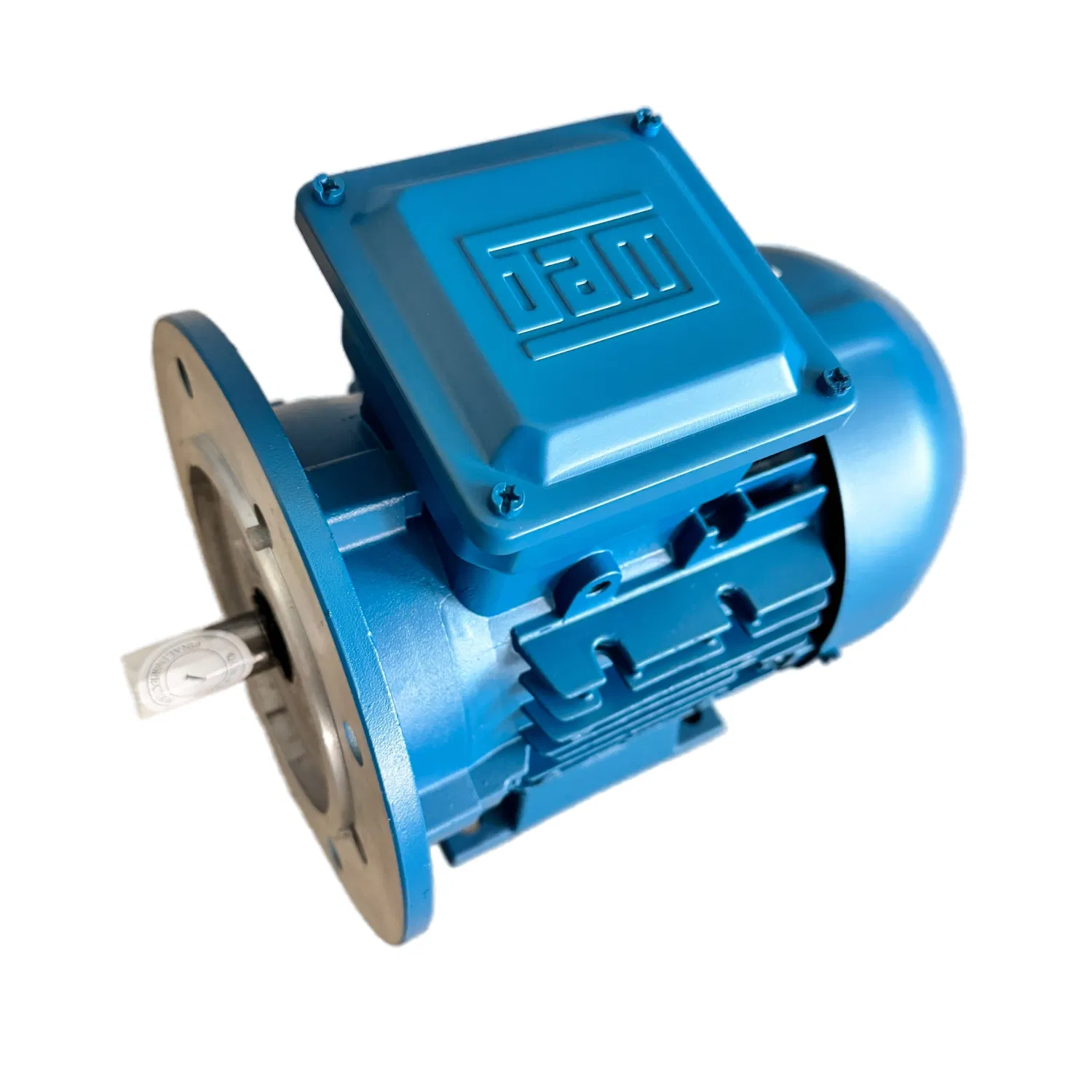 Low Voltage Three Phase Cage Asynchronous AC Electronic Motor, Suitable for Electric Cars and Boat Accessories