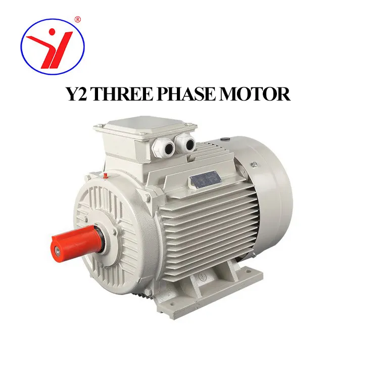 Industrial Three Phase Motor