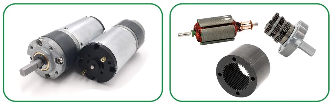 DC Planetary Gear Motor