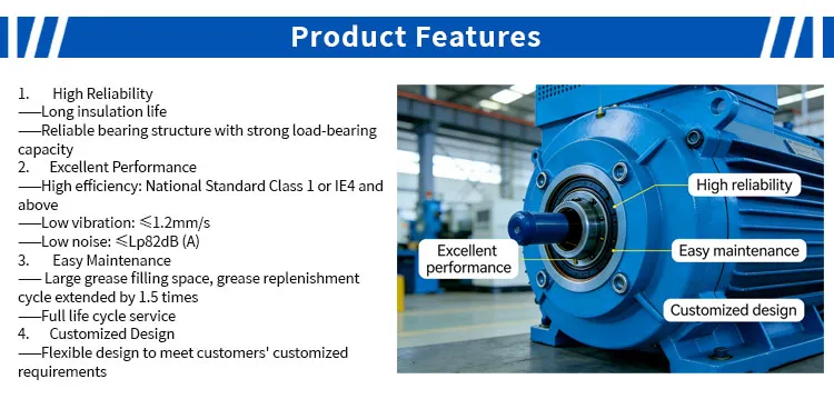 Tetc High Voltage Motor Industrial Application