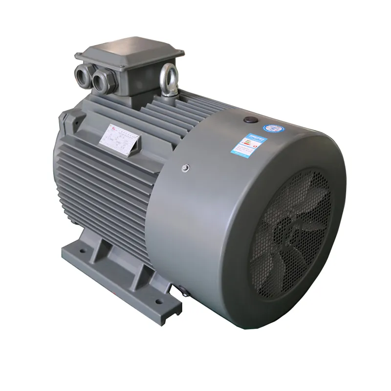 Ie3 High Efficiency 3 Phase Induction AC Electric Motor Ye3-315L1-4-160kw