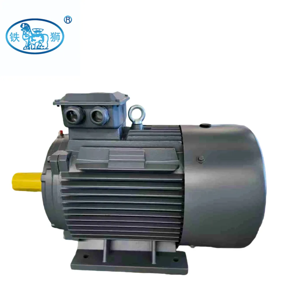 Electric Motor
