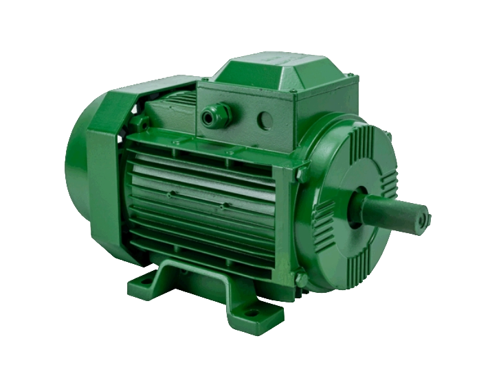 High-Torque Geared Motor Three Phase Asynchronous Motor with Squirrel-Cage Rotor for Reliable Performance