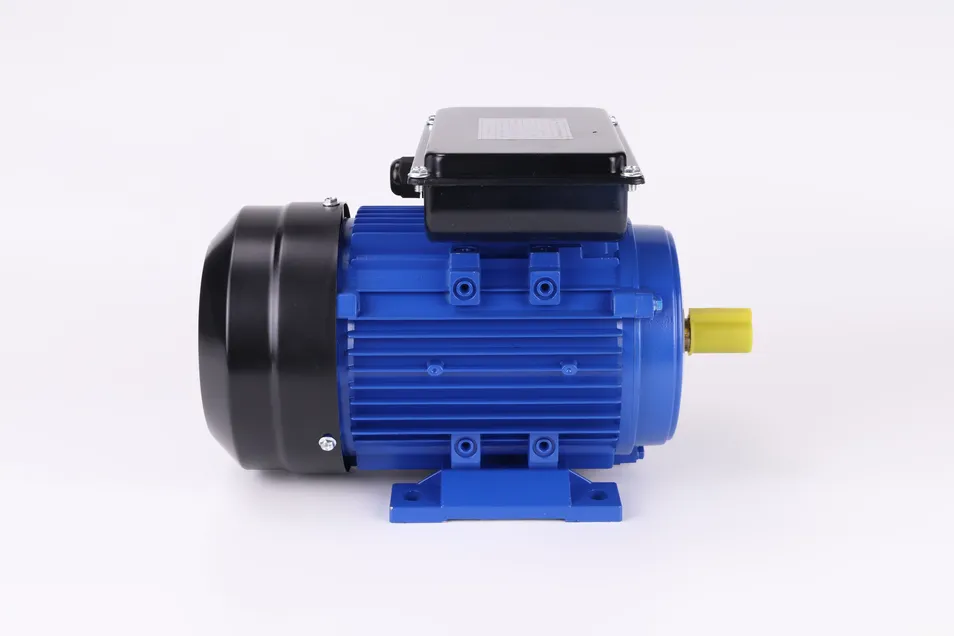 Motor Details 1