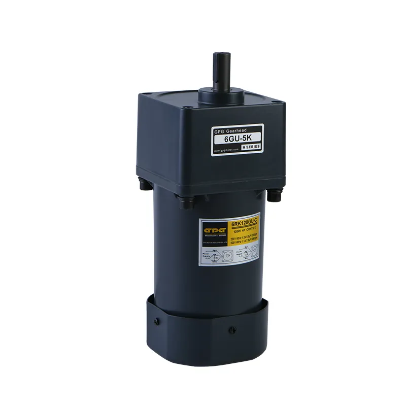 AC Induction Motor
