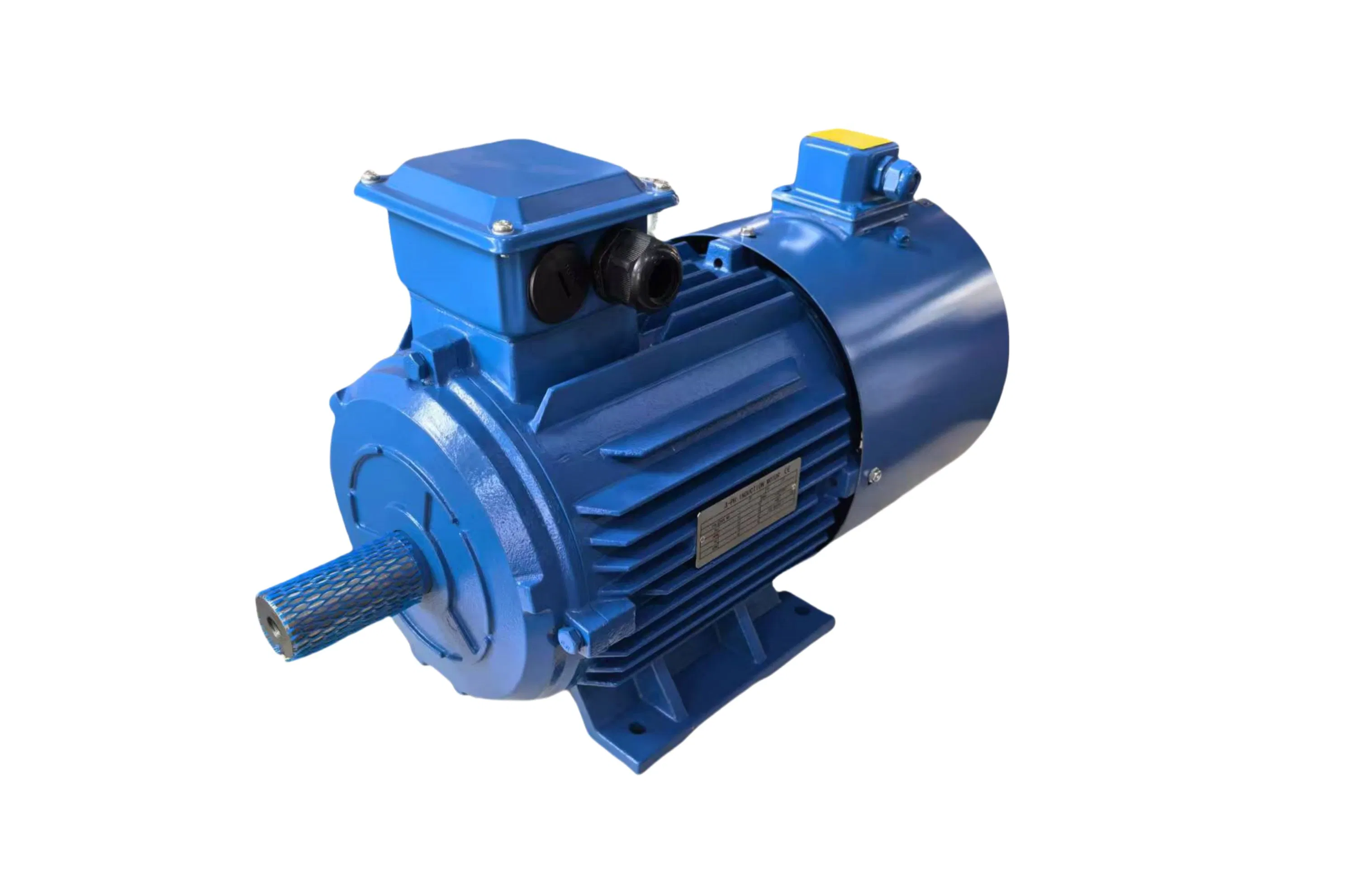 Variable Frequency AC Electric Motor for Speed Control High-Efficiency 18.5kw 4p YVF-180M-4